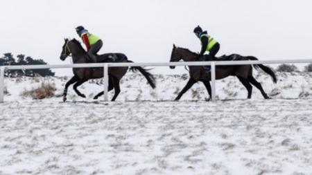 https://betting.betfair.com/horse-racing/Snow%20racing.jpg